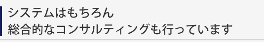 システムはもちろん、総合的なコンサルティングも可能